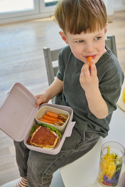 Cutie de pranz pentru copii compartimentata DREAMS, KOZIOL