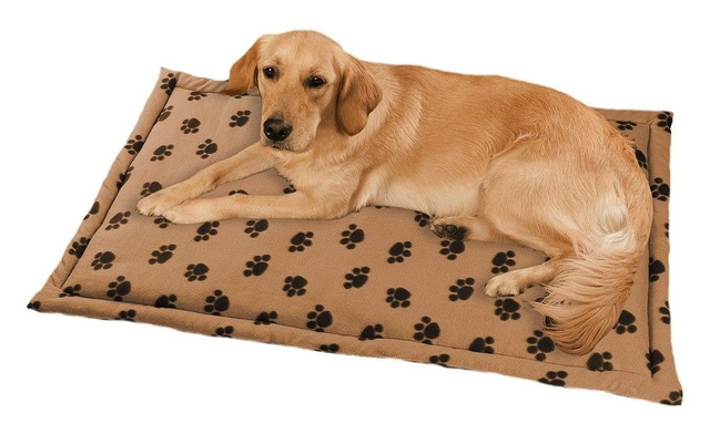 Pat pentru câini, 120 x 75 cm