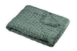 Plaid ALFIE, culoare salvie, 130 x 150 cm