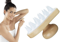 Perie de masaj Wellness 2in1